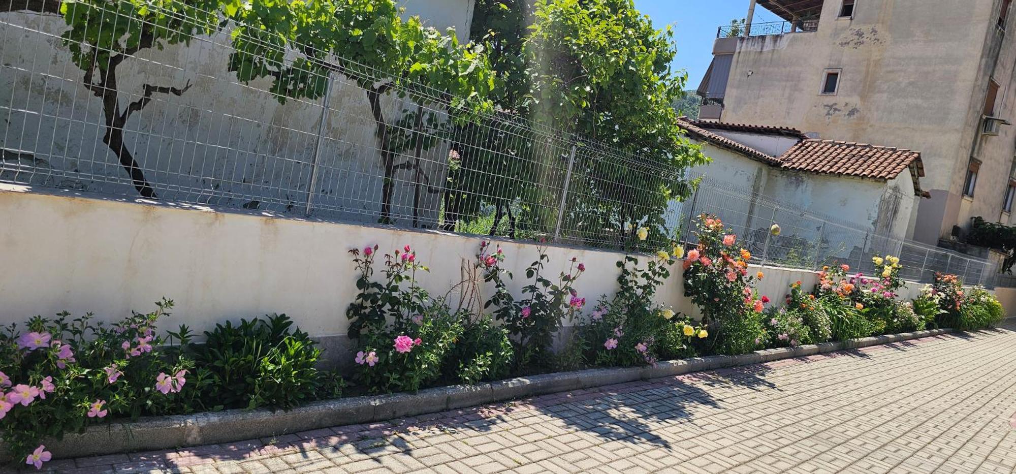 Aliaj Guest House Berat Exteriér fotografie